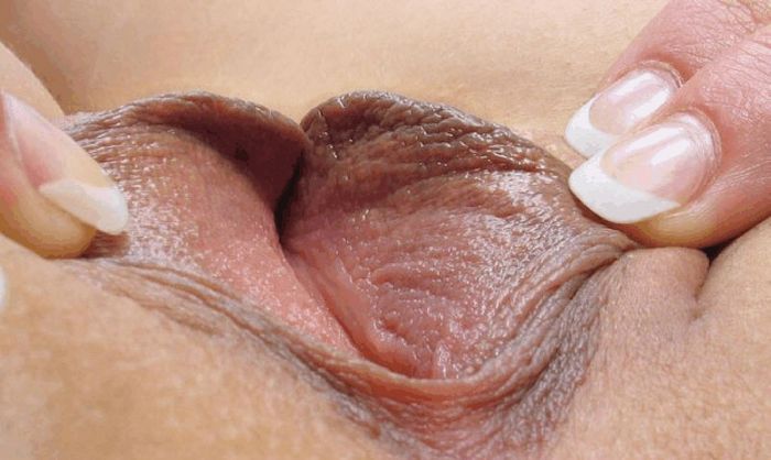 Модели показывают раздетые вагины крупным планом
